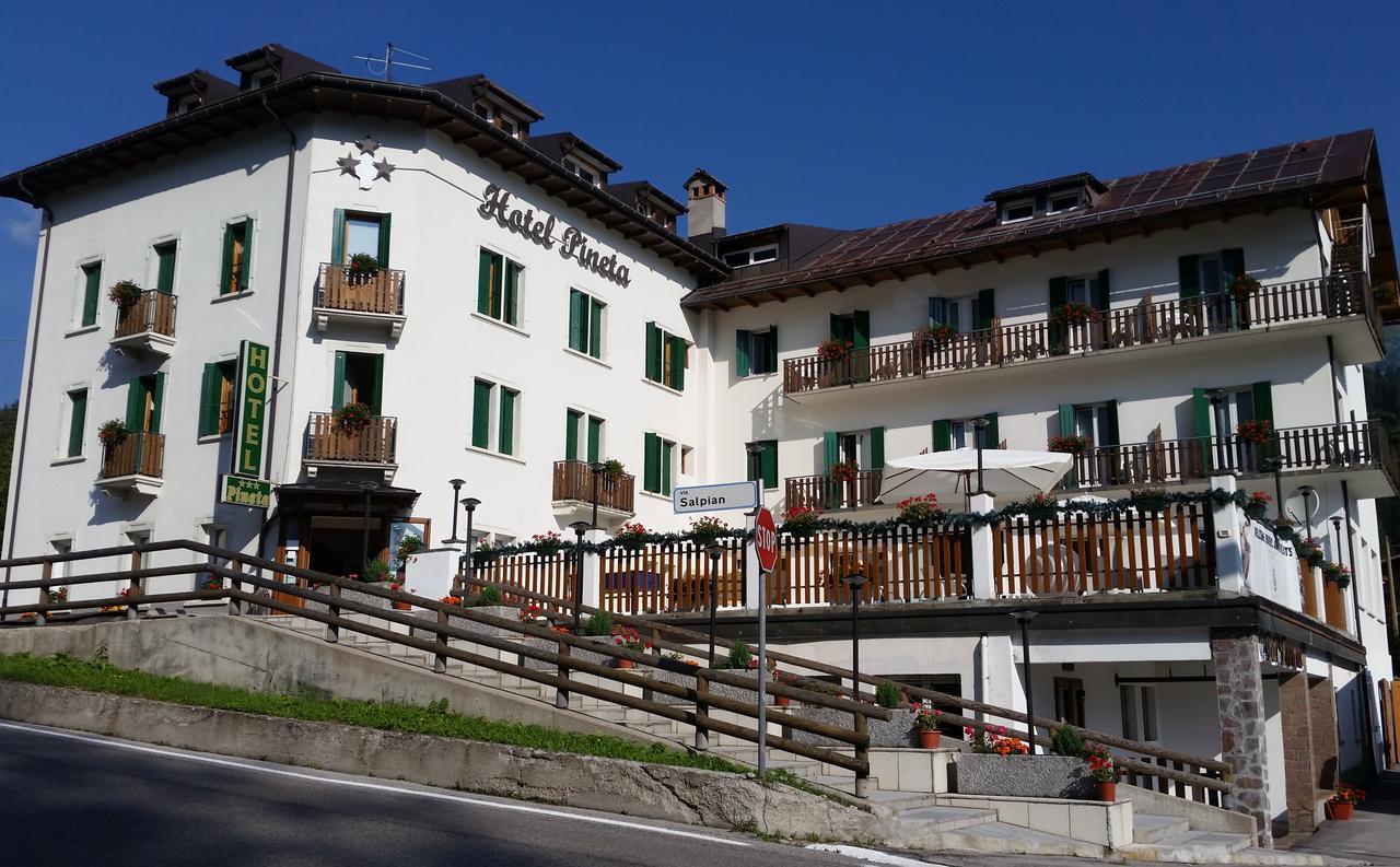 Hotel Pineta Falcade Exteriér fotografie